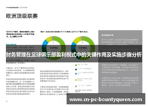 财务管理在足球俱乐部盈利模式中的关键作用及实施步骤分析 财务管理在足球俱乐部盈利模式中的关键作用及实施步骤分析
