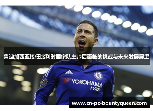 鲁迪加西亚接任比利时国家队主帅后面临的挑战与未来发展展望